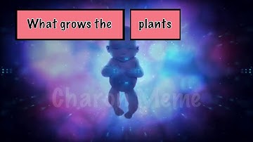 Joel Rafidi - ILLUSION