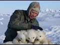 Polar Bears and Global Warming: Connecting the Dots to the Rest of Us