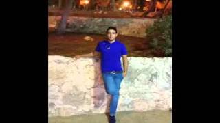 فرصت عمر عاصي الحلاني
