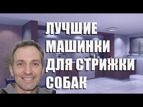 Лучшие машинки для стрижки собак - рейтинг 2023 года