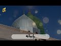 أنشودة سمي تسامى في حب ومدح الرسول ﷺ نشيد زيد الزبيدي كلمات هاني البرعي 