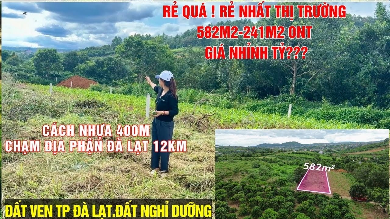 NHỈNH TỶ ANH CHỊ ĐÃ SỞ HỮU 1 BDS VÙNG VEN ĐÀ LẠT - CÁCH ĐỊA PHẬN ĐÀ LẠT 12KM! #odungbds #batdongsan