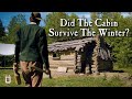 Repairing Our Homestead Log Cabin - Chimney Maintenance