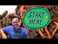 Where To Buy PURE Red Wigglers For Composting