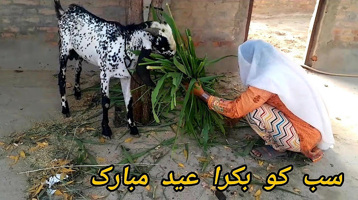 Ap Sabko Hamari Tarf Say Eid Mubarik || Village Eid day in Pakistan || Happy Mano Family