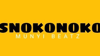 Snokonoko – Munyi Beatz (Official Audio) [Amapiano Hit 2026]