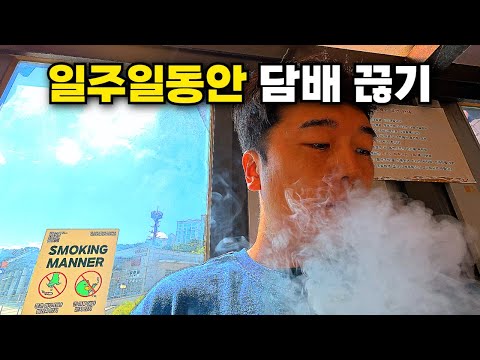 18년동안 피운 담배를 일주일동안 끊으면 생기는 일
