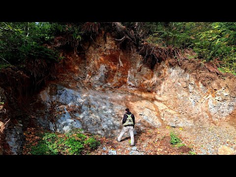 New Mineralized Copper Rich Trend Runs For 10,000m!
