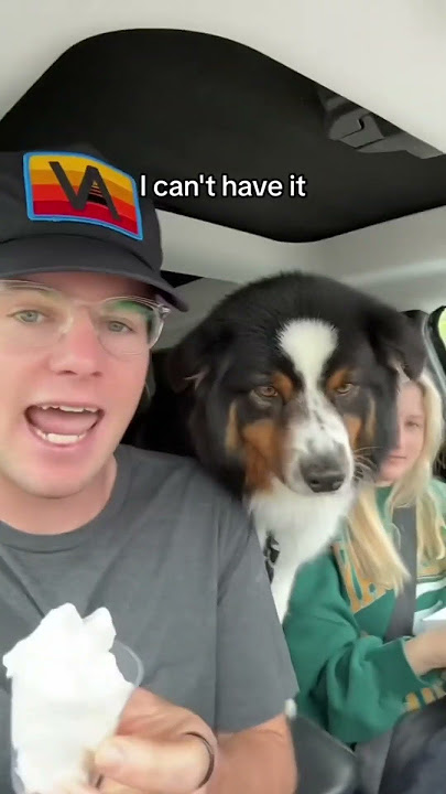 Download lagu The Problem with Pup Cup Culture