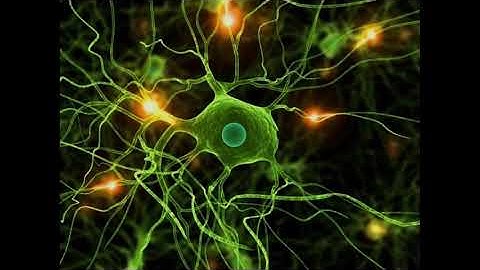 Nhạc NLP COACH TRẦN ANH NGỌC Bí quyết Tĩnh Tâm  Nhớ nhanh