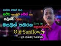 Mersalin pathirana with old sunflowers  live in sapugaskanda  re created quality sounds