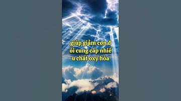 8 món ăn sáng giúp sống thọ hơn