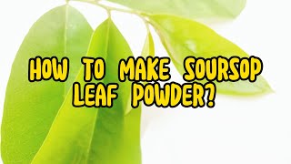 DIY Soursop Leaf Powder: Your Complete Guide to Making Soursop Leaf Powder at Home