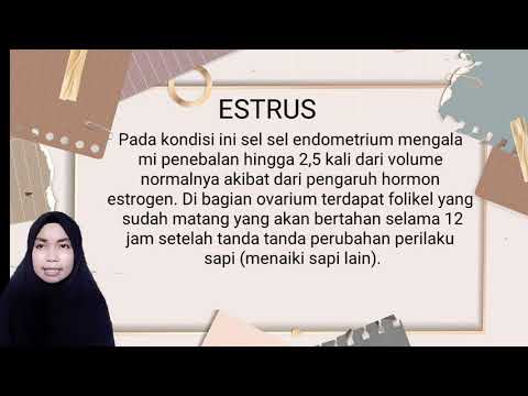 Video: Apakah tanda-tanda estrus?