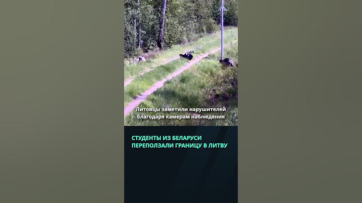 Семеро студентов из Беларуси ползли через границу в Литву #беларусь #новости #граница