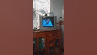 Padiwaradda JUNE 18, 2021 The Loyal Wife  James Jirayu . Bella Campen .