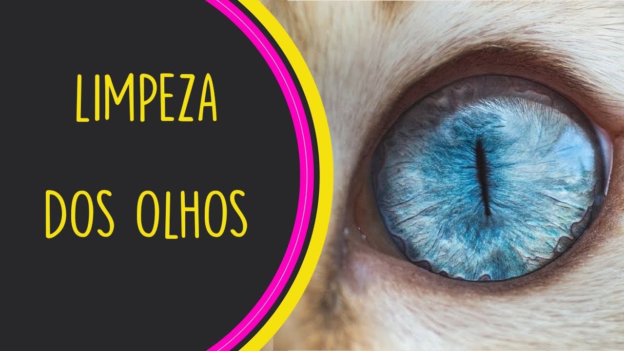 Como Tirar Remela Do Olho Do Gato Sobre os Olhos
