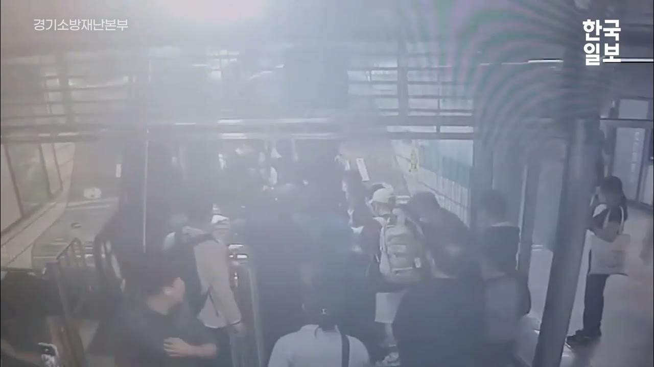 Необычные инциденты. Необычные инциденты. Необычные инциденты. Смешные автомобильные аварии. Странные явления в лесу.