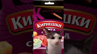 Кот Ест Кириешки #Кот #Кириешки #Сухарики