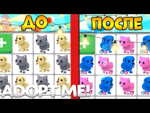КАК ПРОКАЧАТЬСЯ В ADOPT ME ??? | ПУТЬ ОТ СОБАЧКИ ДО ЛЕГИ | Roblox adopt me trade