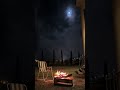 وخدتني من ايدي يا حبيبي ومشينا بدون موسيقى