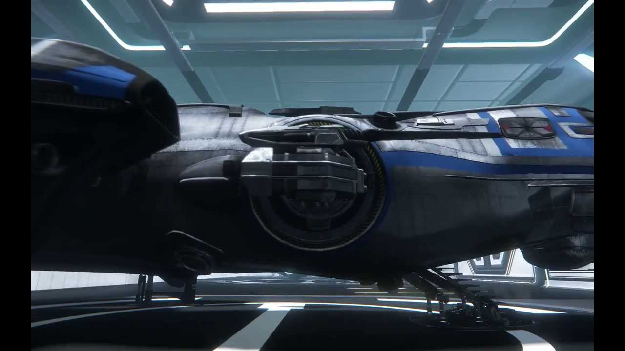 [Star Citizen] Hangar Module | The Freelancer and something