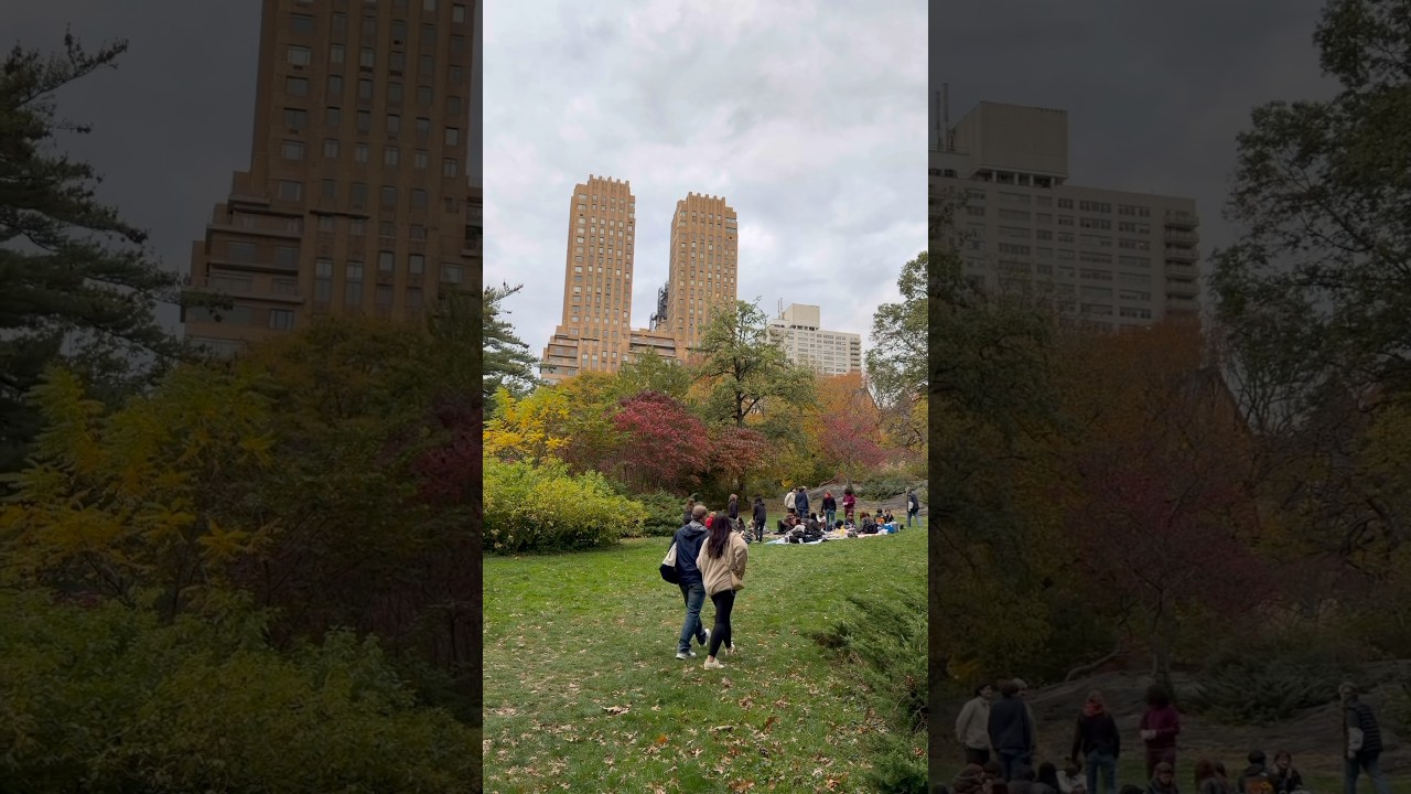 🍂 When Central Park Turns to Gold ✨ 
