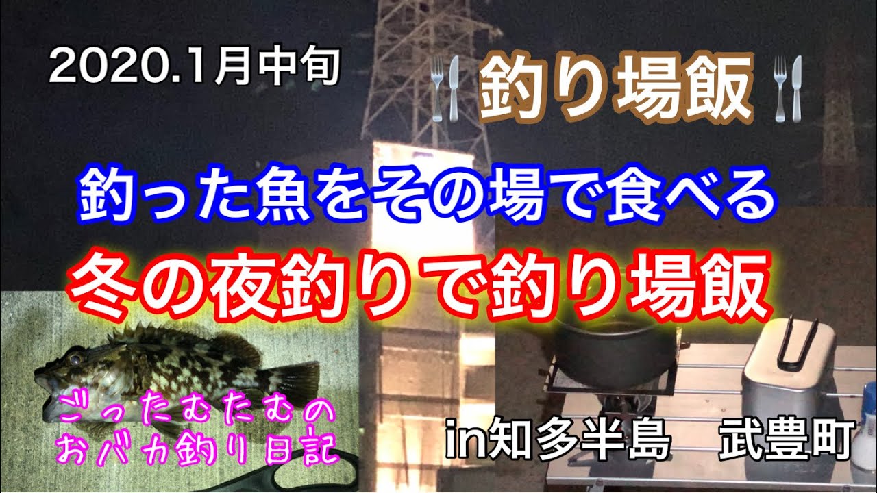 武豊町 冬の夜釣りで釣り場飯 釣った魚をその場で食べる 知多半島 Youtube