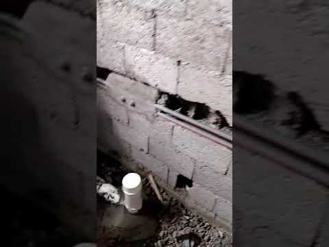 فني سباك بجازان 0538357157