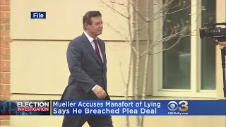 Manafort Lied After Pleading Guilty, Mueller's Team Says