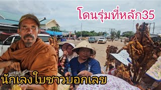 #เที่ยวลาว #บรรยากาศ หลัก35 เมืองจำพอน #ไก่ย่าง #สาวลาว #สปปลาว #อาหารพื้นบ้าน #ของป่า #เห็ดปลวก