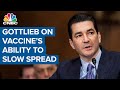 Vaccine's ability to slow spread needs to be demonstrated: Dr. Scott Gottlieb