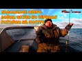 Рыбалка🎣.Ладожское озеро. Ловим окуня🐟по чёрному. Готовим на костре🔥