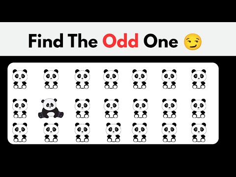 Find The Odd One Out ANIMAL Edition Spot The Difference DAMQuiz 