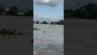 Cuộc Sống Mưu Sinh Của Người Dân Trên Sông Vam Nao   #fishing #automobile #vlog