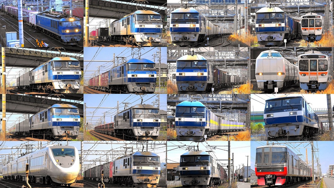 貨物列車の重厚ジョイント音‼ かもつれっしゃ いろいろいっぱい31本
