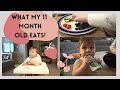 What My 11 Month Old Baby Eats In a Day // Realistic + Healthy foods for Baby