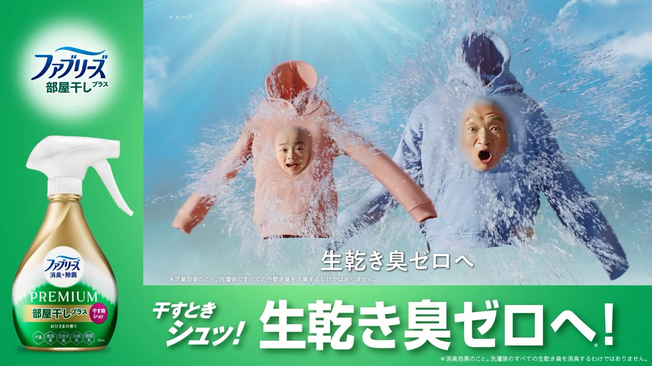 【ファブリーズ布用】生乾き臭の親子 6秒 L