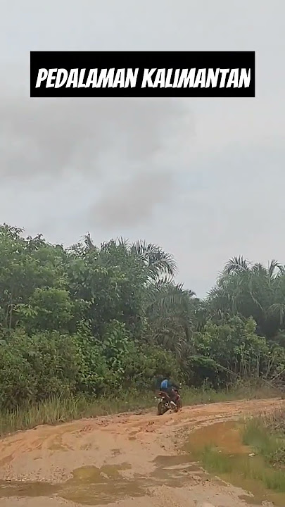Kondisi jalan di Pedalaman Kalimantan Timur #borneo #pedalaman #nusantara #dayak #kalimantan #hutan