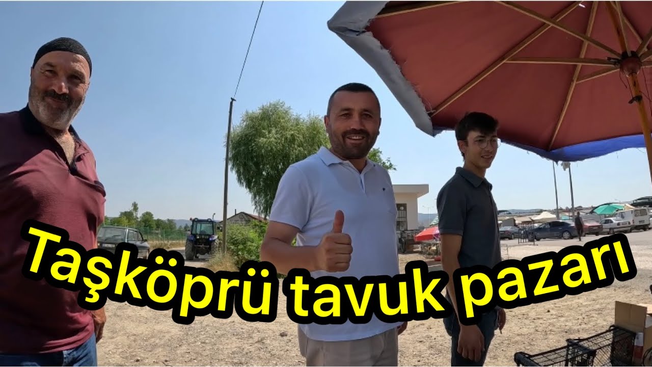 Kastamonu Taşköprü tavuk pazarı bu hafta cıvıl cıvıl gülk tavuklar civcivler ￼ pazarda yok yok ￼
