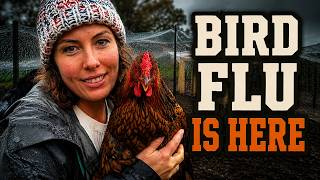 Bird Flu Has Arrived in Australia – What Chicken Owners Need to Know