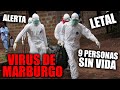 TODO LO QUE TIENES que SABER DEL VIRUS DE MARBURGO EL BROTE del VIRUS MORTAL