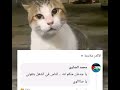 القط صاوي من عند الجمعيه القط صاوي من عند الجمعيه