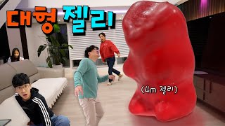 초대형 젤리가 나타났다 !! 10년은 먹을 수 있겠다 ㅋㅋㅋㅋ