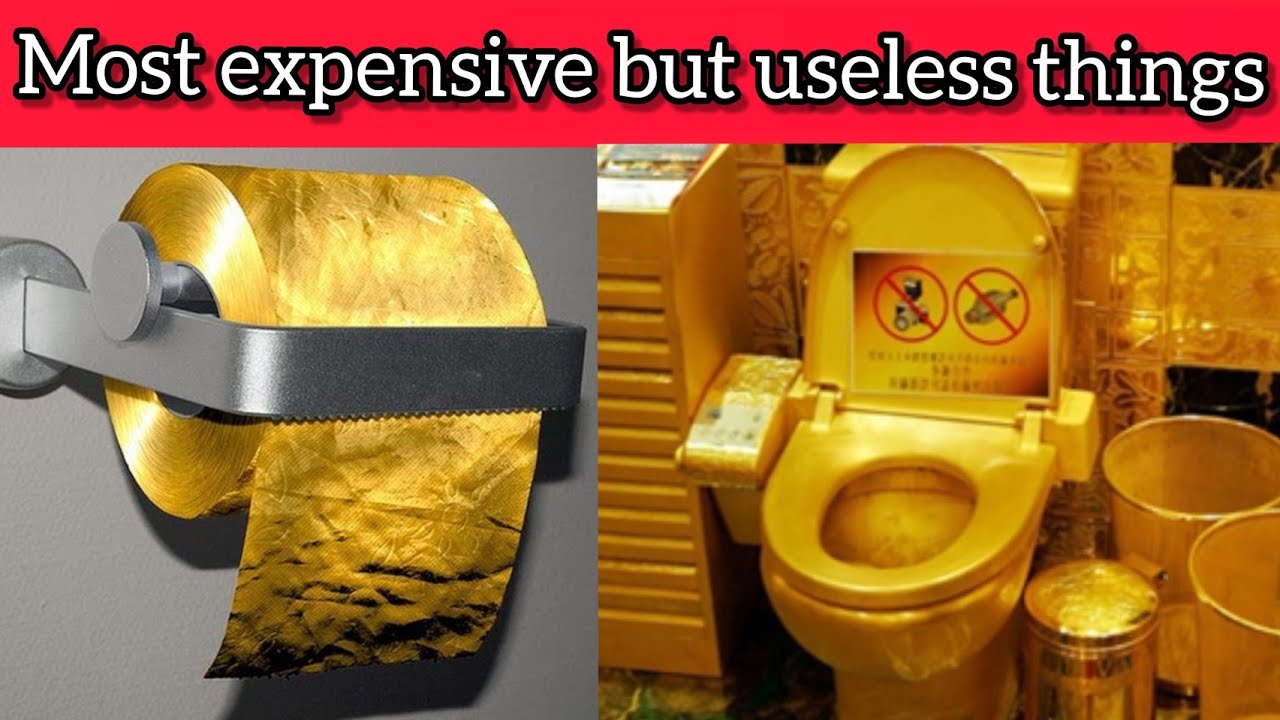 10 Of The Most Uselessly Expensive Things In The World That'll