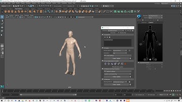 Rigging part 1   Maya 2019   HIK, Quick Rig and Paint Skin Weights Tools