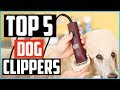 Top 5 Best Dog Clippers in 2020