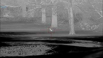 Oneleaf.ai MT1000LRF 50mm Coyote and Fox Hunt