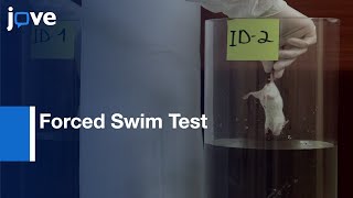 Forced Swim Test: Model Of Depressive-Like Behavior l Protocol Preview screenshot 5