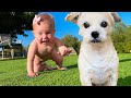 Dog teaches baby how to crawl  adorable 